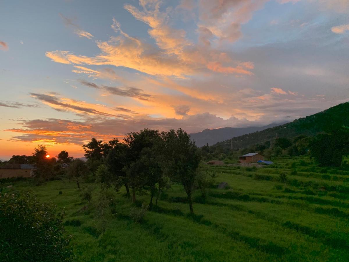 Bir Nest Hostel Εξωτερικό φωτογραφία