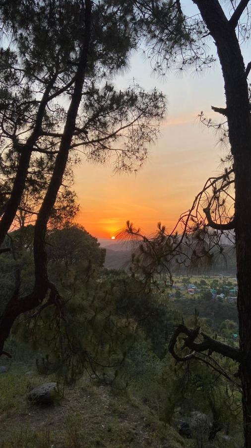Bir Nest Hostel Εξωτερικό φωτογραφία